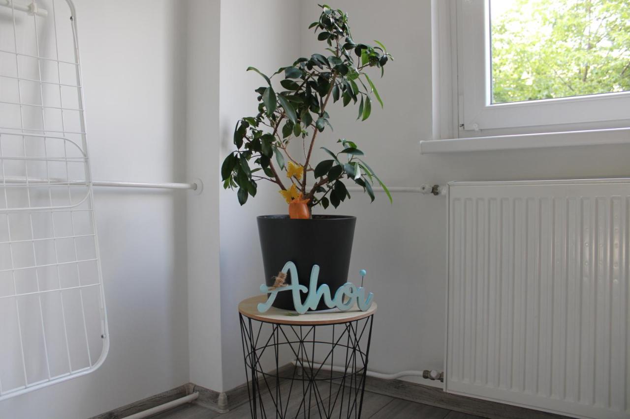 Izzy Apartament Daire Miskolc Dış mekan fotoğraf